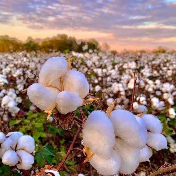 WhatsApp Image 2024-08-18 at 14.01.08_0e502869